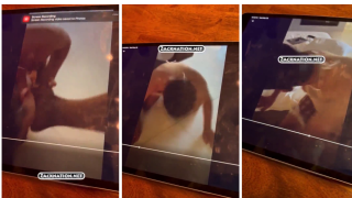 Glenn Greenwald Leaked Sex Tape – Hot Video